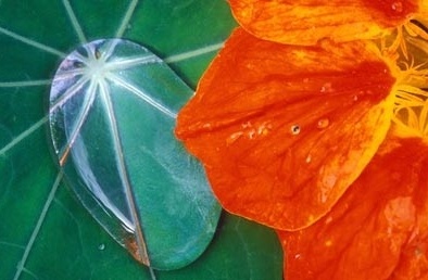 Ra mắt vật liệu chống thấm hoàn hảo mới